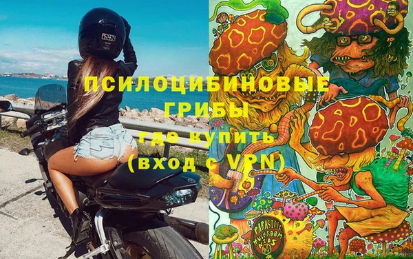 не бодяженный Богородицк